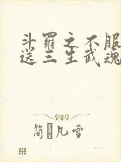 斗罗之不服系统送三生武魂的小说