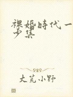 裸婚时代一共多少集