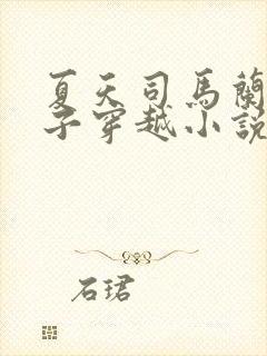 夏天司马兰九皇子穿越小说免费阅读