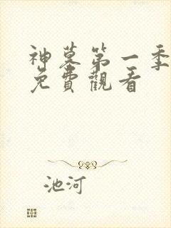 神墓第一季8集免费观看