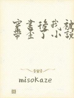 穿书后我被反派带歪了小说