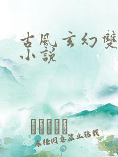 古风玄幻双男主小说