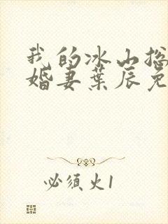 我的冰山总裁未婚妻叶辰免费