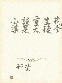 小说重生我的老婆是天后全文阅读