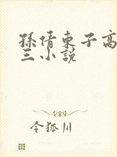 孙倩东子高义陈三小说