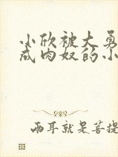 小欣被大勇调教成肉奴的小说叫什么