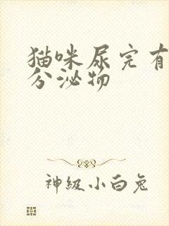 猫咪尿完有绿色分泌物