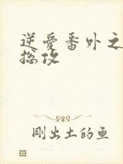 逆爱番外之攻下总攻