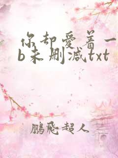 你却爱着一个sb未删减txt