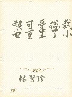 超可爱总裁老婆也重生了小说