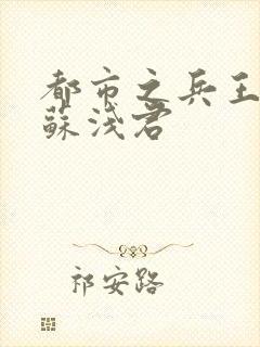 都市之兵王归来苏浅君