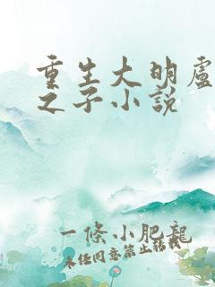 重生大明卢象升之子小说