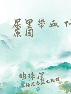 尿里带血 什么原因