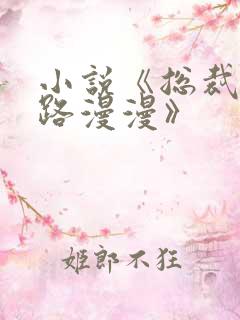 小说《总裁追妻路漫漫》