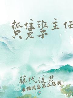 抓住班主任的两只兔子