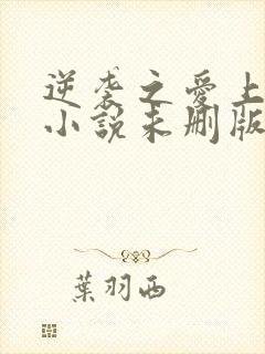 逆袭之爱上情敌小说未删版