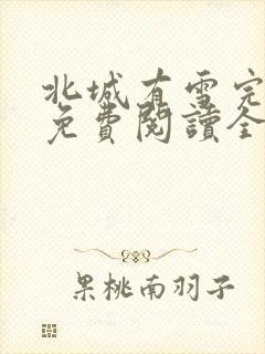 北城有雪完整版免费阅读全文