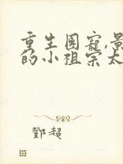 重生团宠,景爷的小祖宗太粘人全文免费阅读