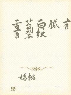 舌苔白腻有齿痕有裂纹