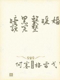 暗黑系暖婚 小说完整