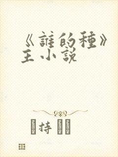 《谁的种》双男主小说