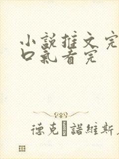 小说推文完结一口气看完