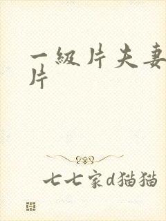 一级片夫妻生活片