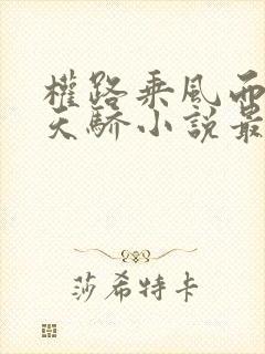 权路乘风而起化天骄小说最新章节