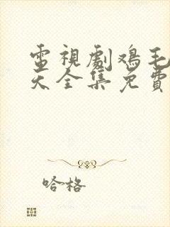 电视剧鸡毛飞上天全集免费