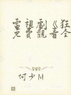 电视剧《狂飙》免费观看全集高清