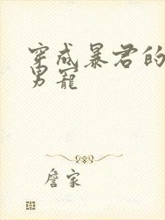 穿成暴君的冲喜男宠