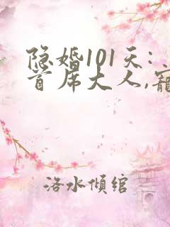 隐婚101天:首席大人,宠妻忙