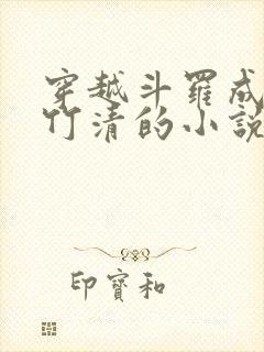 穿越斗罗成为朱竹清的小说