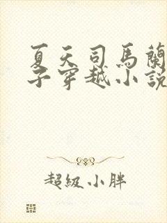 夏天司马兰九皇子穿越小说