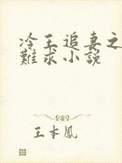 冷王追妻之医妃难求小说