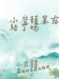 小魔头暴露了完结了吗