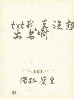 txt我真没想出名啊