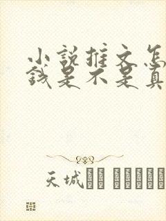 小说推文怎么赚钱是不是真的