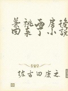 兼祧两房后夫君回来了小说全文阅读