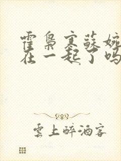 霍枭寒苏婉最后在一起了吗霍枭寒苏