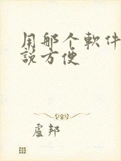 用那个软件写小说方便