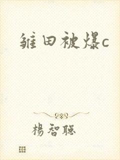 雏田被爆c