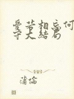 爱若相忘何必相守大结局