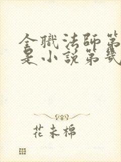 全职法师第六季是小说第几章