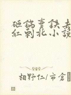 砸锅卖铁去上学红刺北小说完全版