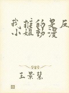 我推的是反派大小姐动漫