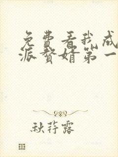 免费看我成为反派赘婿第一季