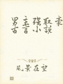 男主强取豪夺的古言小说