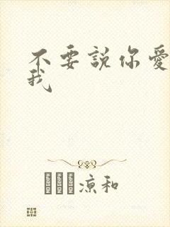 不要说你爱你想我