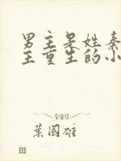 男主是姓秦的女主重生的小说